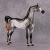 Stone Horses SAMPLE &quot;Dr. Doolittle: Polynesia&quot; 2024 Classic Literature Arabian Stallion by Ellen Robbins