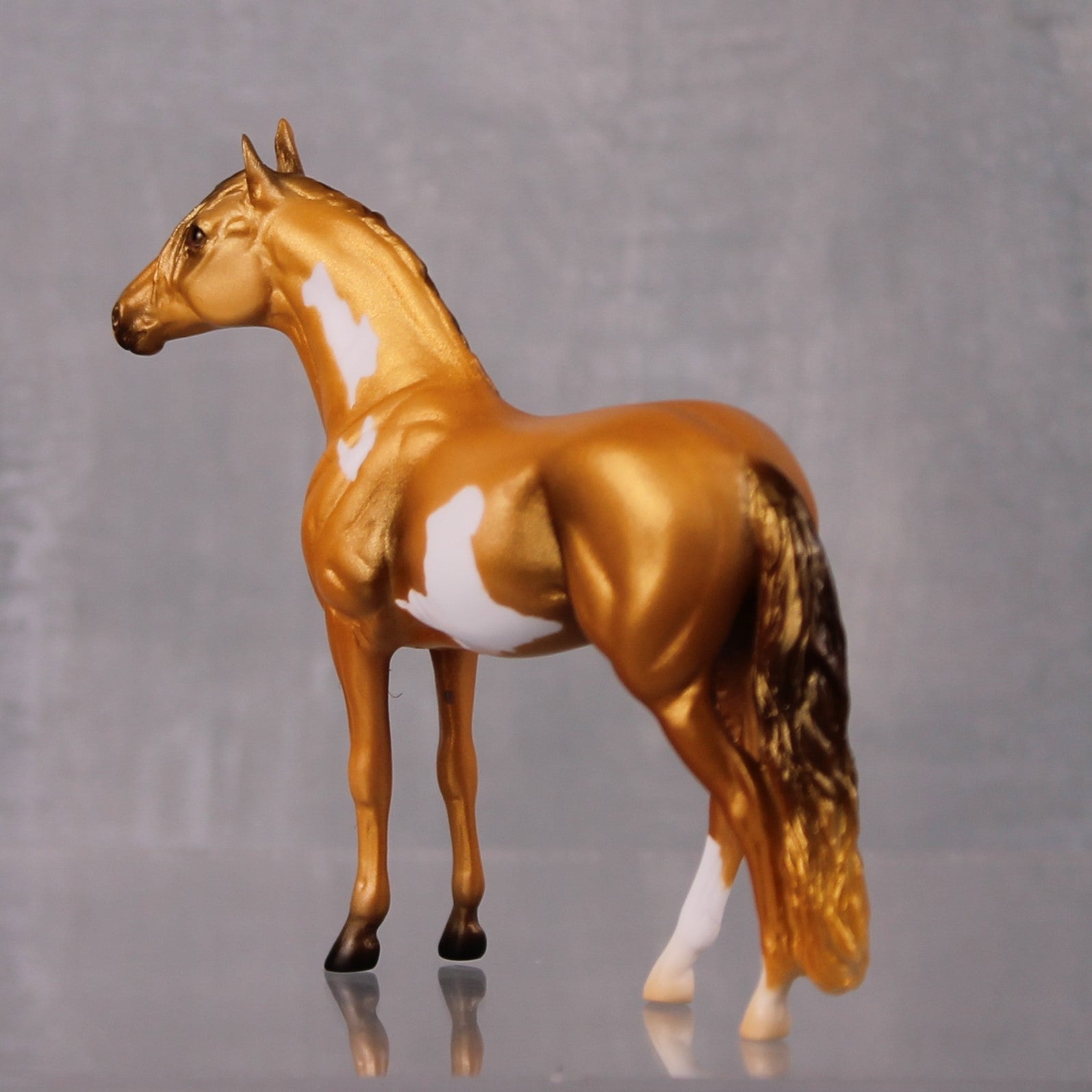 Bandwidth LE-6 Gold Pinto Andalusian Chip By Jamie Adamson $99 Chips Sale October 2024