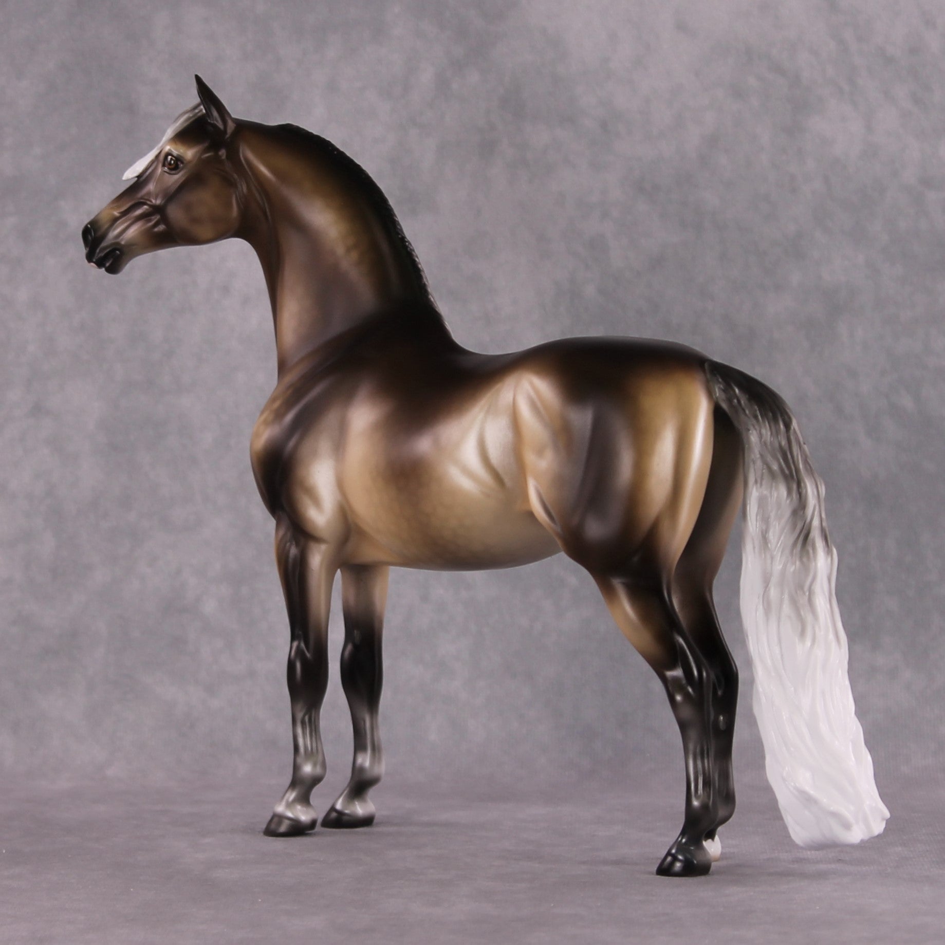 Stone Horses SAMPLE "Veronika Carter" Moonlight Madness 2024 Morgan by Ellen Robbins