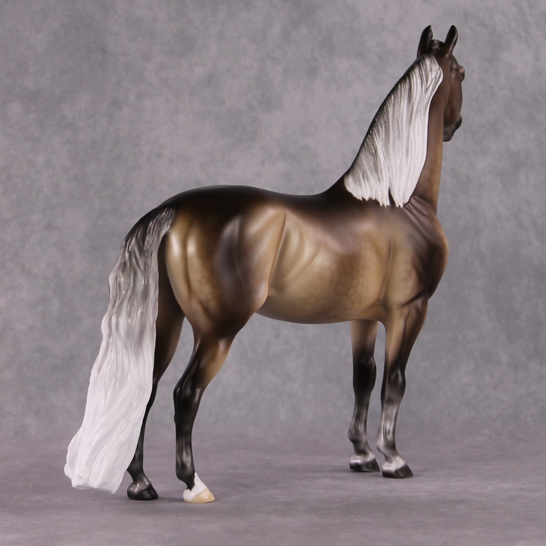 Stone Horses SAMPLE "Veronika Carter" Moonlight Madness 2024 Morgan by Ellen Robbins