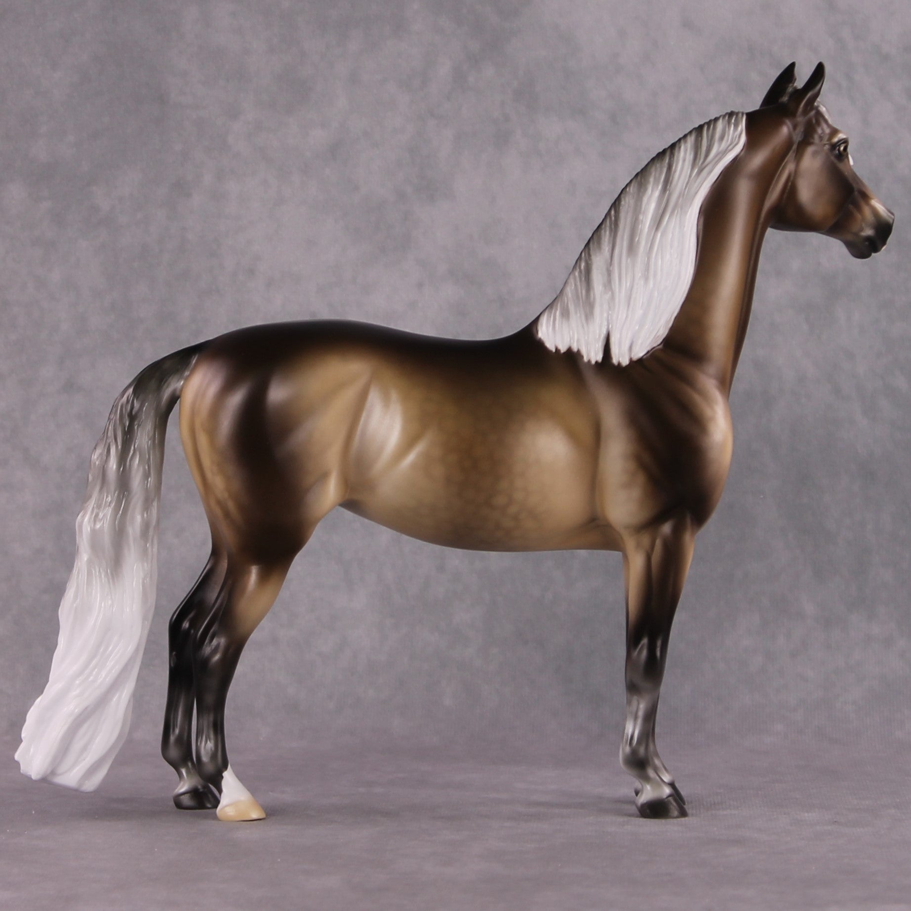 Stone Horses SAMPLE "Veronika Carter" Moonlight Madness 2024 Morgan by Ellen Robbins