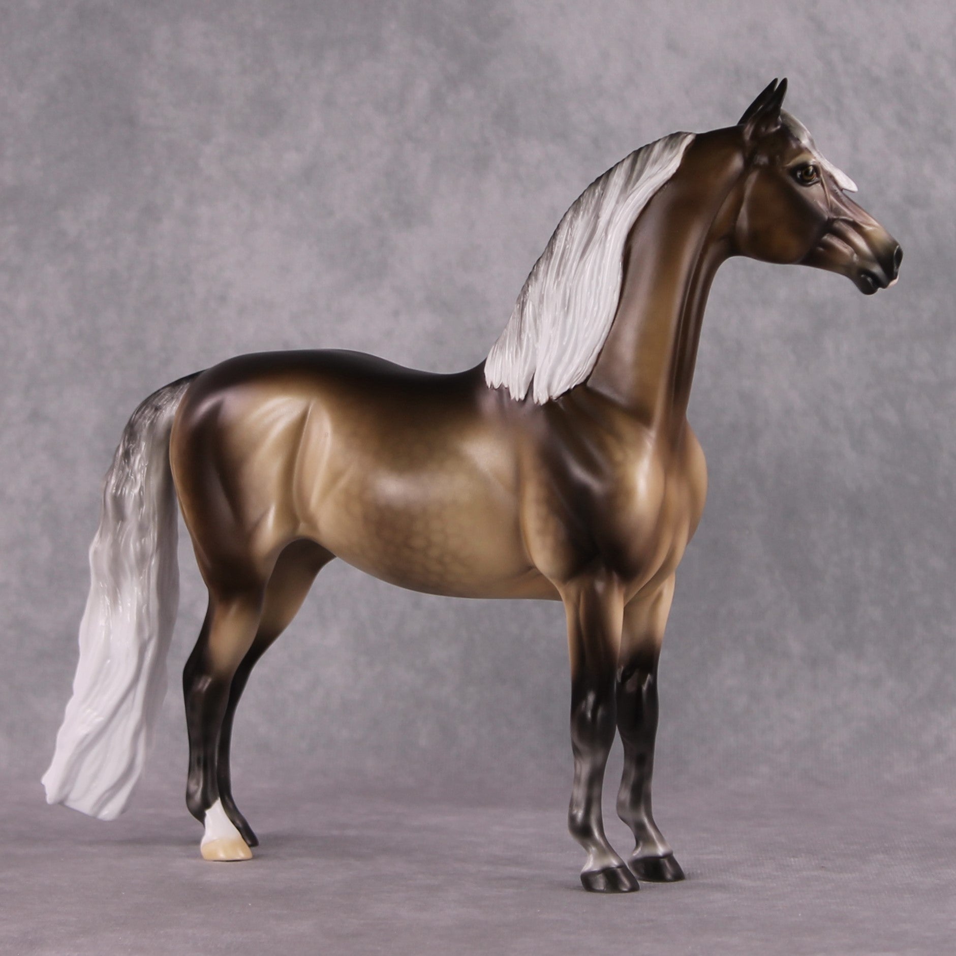 Stone Horses SAMPLE "Veronika Carter" Moonlight Madness 2024 Morgan by Ellen Robbins