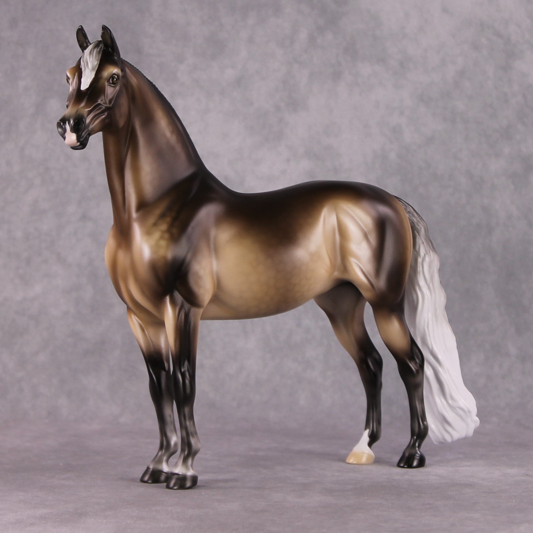 Stone Horses SAMPLE "Veronika Carter" Moonlight Madness 2024 Morgan by Ellen Robbins