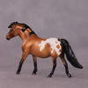 &quot;Crocidura&quot; LE-5 Pony Chip Mare By Ellen Robbins CL25