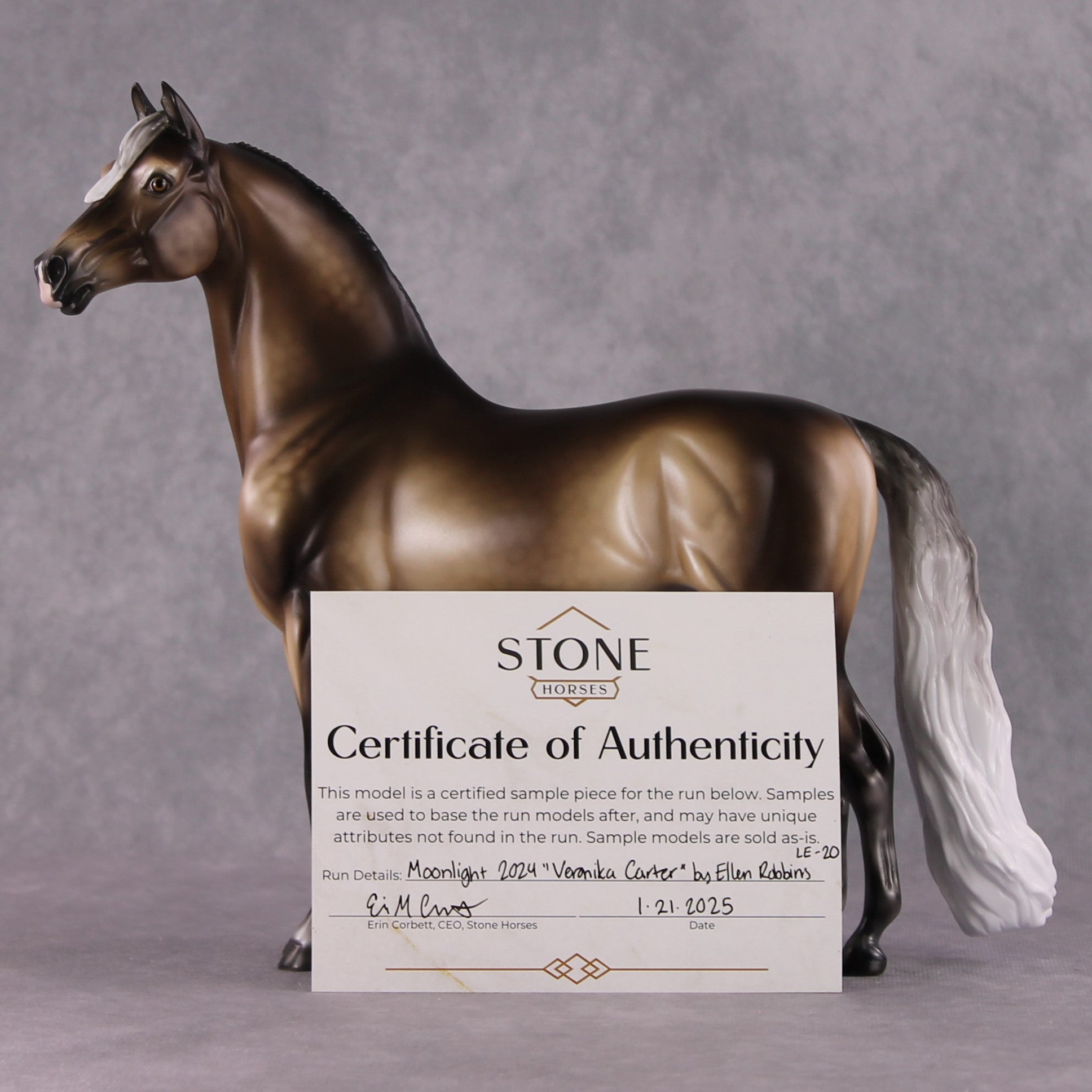 Stone Horses SAMPLE "Veronika Carter" Moonlight Madness 2024 Morgan by Ellen Robbins