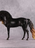 "Balefire" SAMPLE Custom Shaded Liver Chestnut Andalusian By Jess Hamill