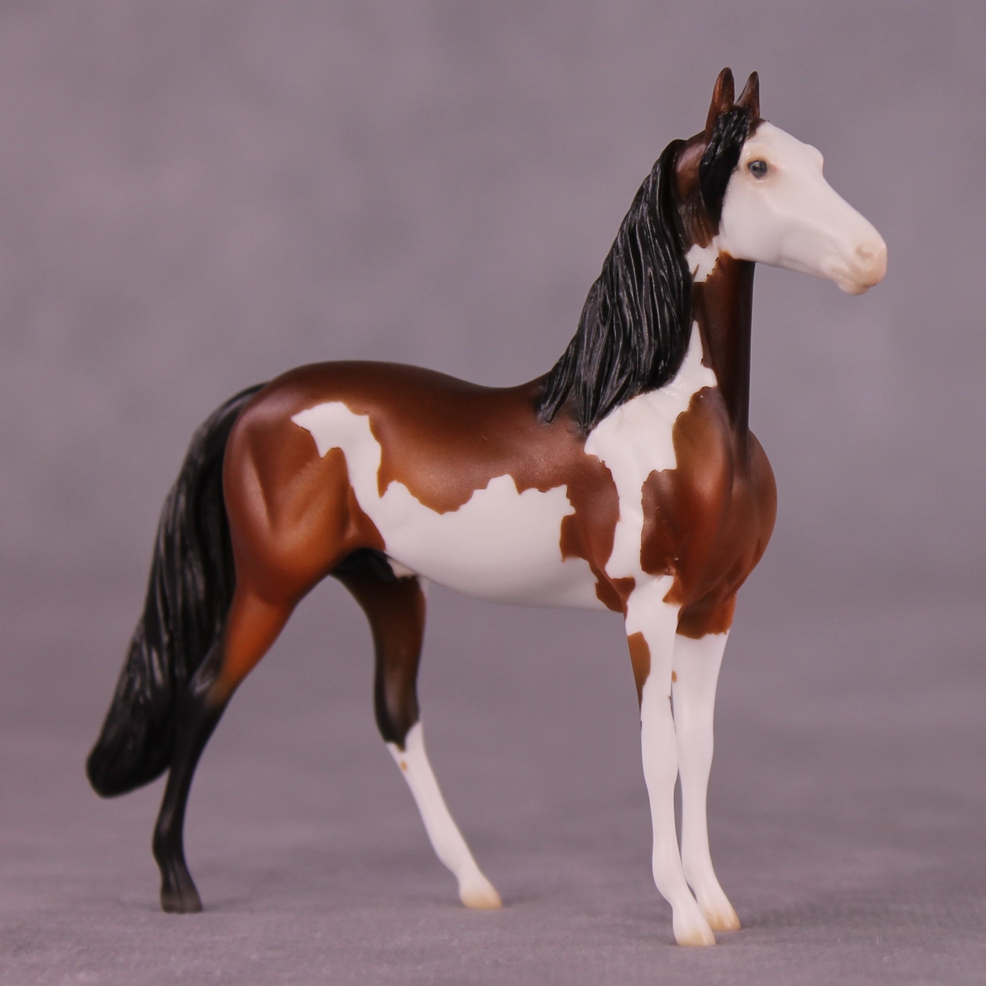"Moldacot" OOAK Morgan Chip by Ellen Robbins EQ25