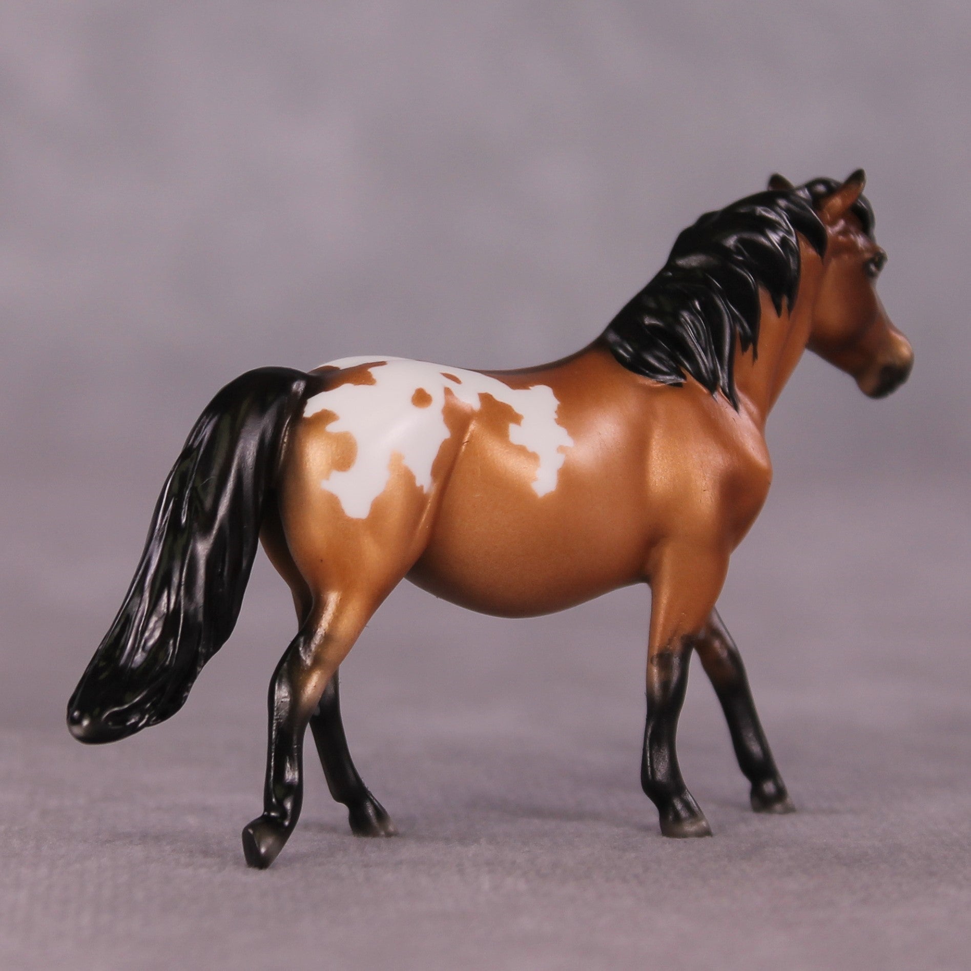 "Crocidura" LE-5 Pony Chip Mare By Ellen Robbins CL25