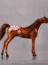 Agile LE-6 Chestnut Appaloosa Arabian Chip By Jamie Adamson $99 Chips Sale October 2024