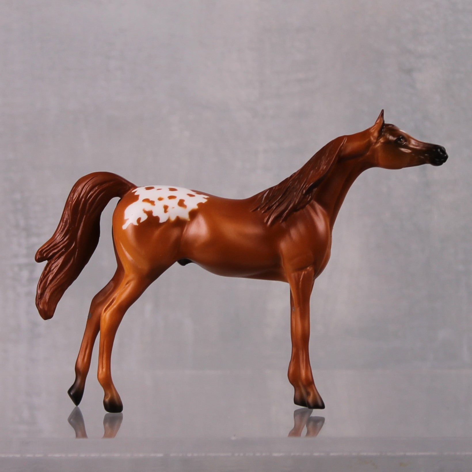 Agile LE-6 Chestnut Appaloosa Arabian Chip By Jamie Adamson $99 Chips Sale October 2024