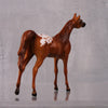 Agile LE-6 Chestnut Appaloosa Arabian Chip By Jamie Adamson $99 Chips Sale October 2024