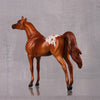 Agile LE-6 Chestnut Appaloosa Arabian Chip By Jamie Adamson $99 Chips Sale October 2024