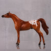 Agile LE-6 Chestnut Appaloosa Arabian Chip By Jamie Adamson $99 Chips Sale October 2024