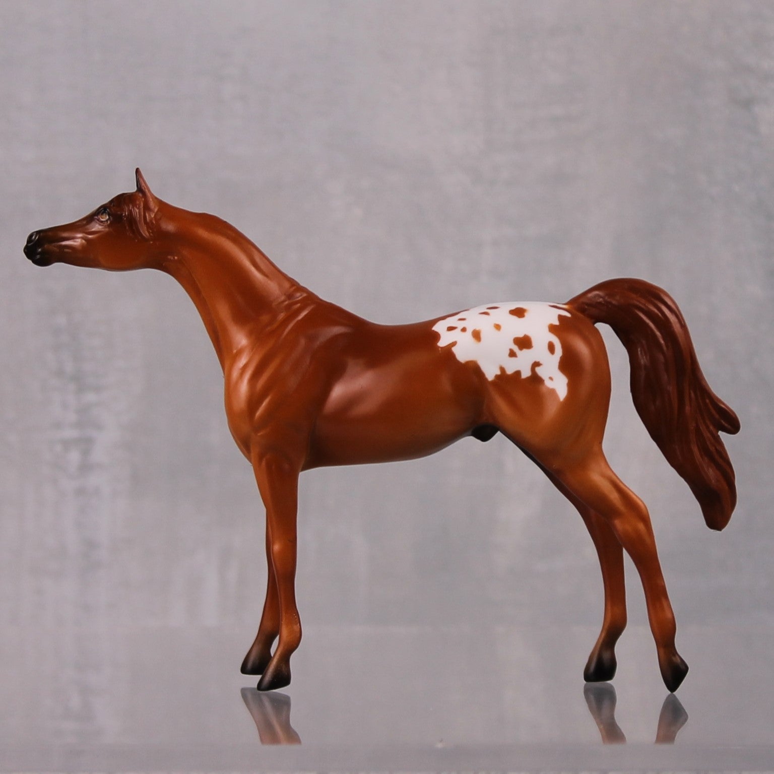 Agile LE-6 Chestnut Appaloosa Arabian Chip By Jamie Adamson $99 Chips Sale October 2024