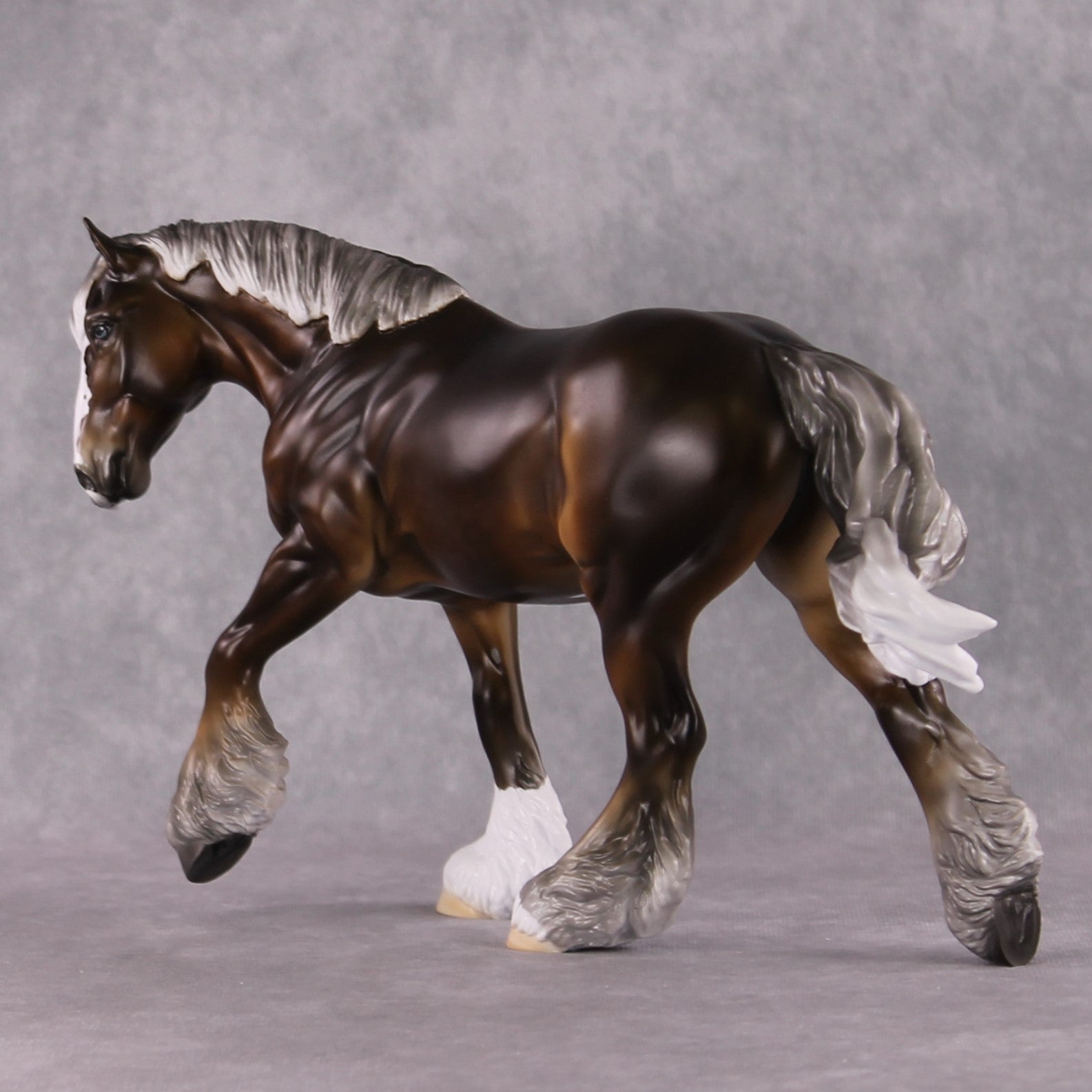 Stone Horses SAMPLE "The Professor" Moonlight Madness 2024 Irish Cob by Ashley Palmer