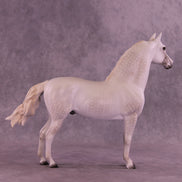 Torrance OOAK FCM Morgan by Dawn Quick DDOOAKs26