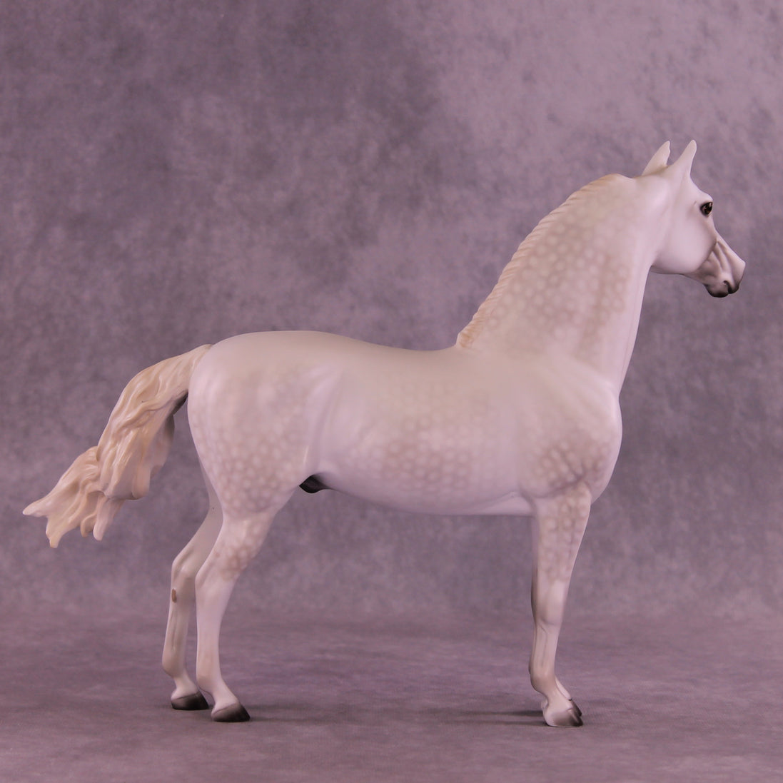 Torrance OOAK FCM Morgan by Dawn Quick DDOOAKs26