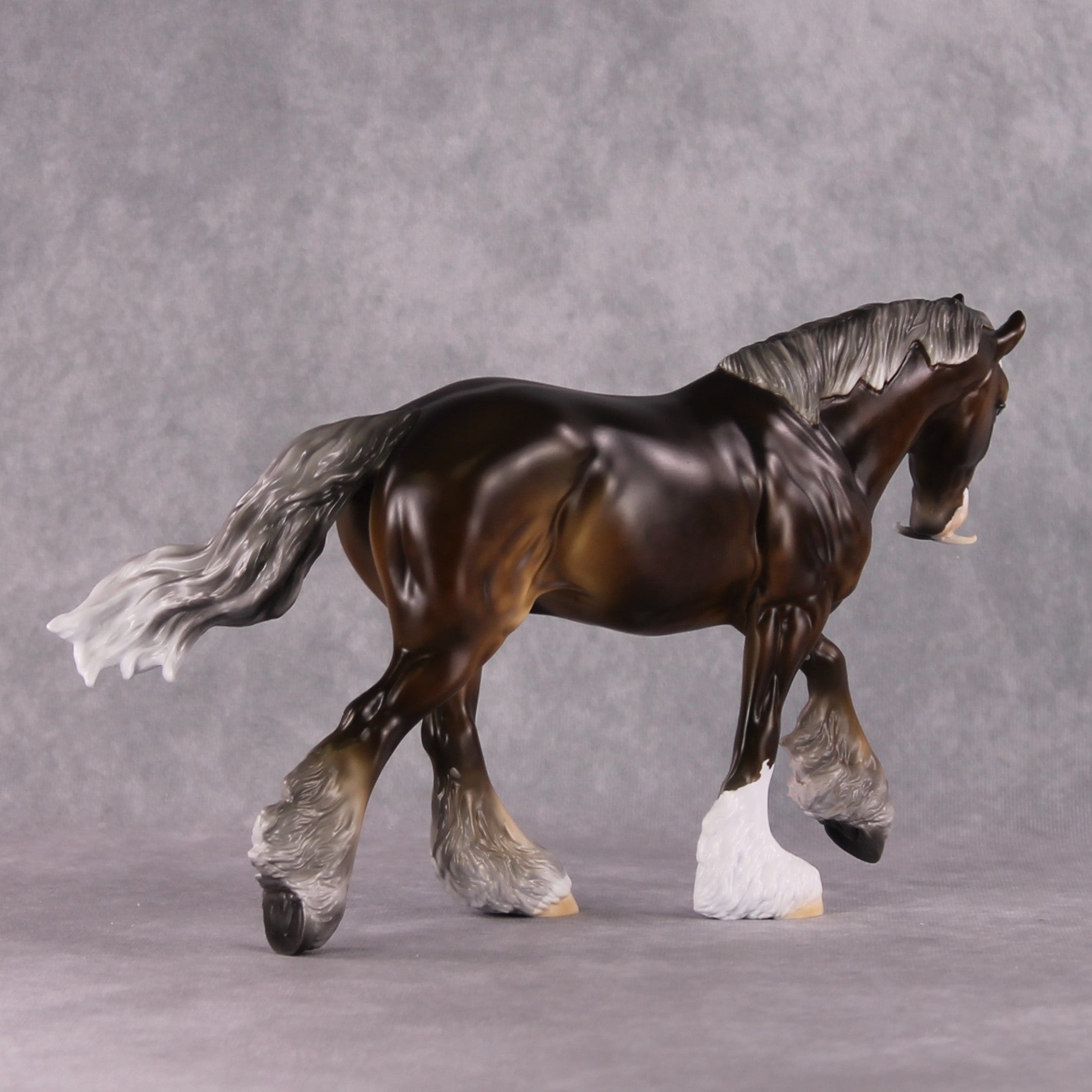 Stone Horses SAMPLE "The Professor" Moonlight Madness 2024 Irish Cob by Ashley Palmer