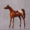 Agile LE-6 Chestnut Appaloosa Arabian Chip By Jamie Adamson $99 Chips Sale October 2024