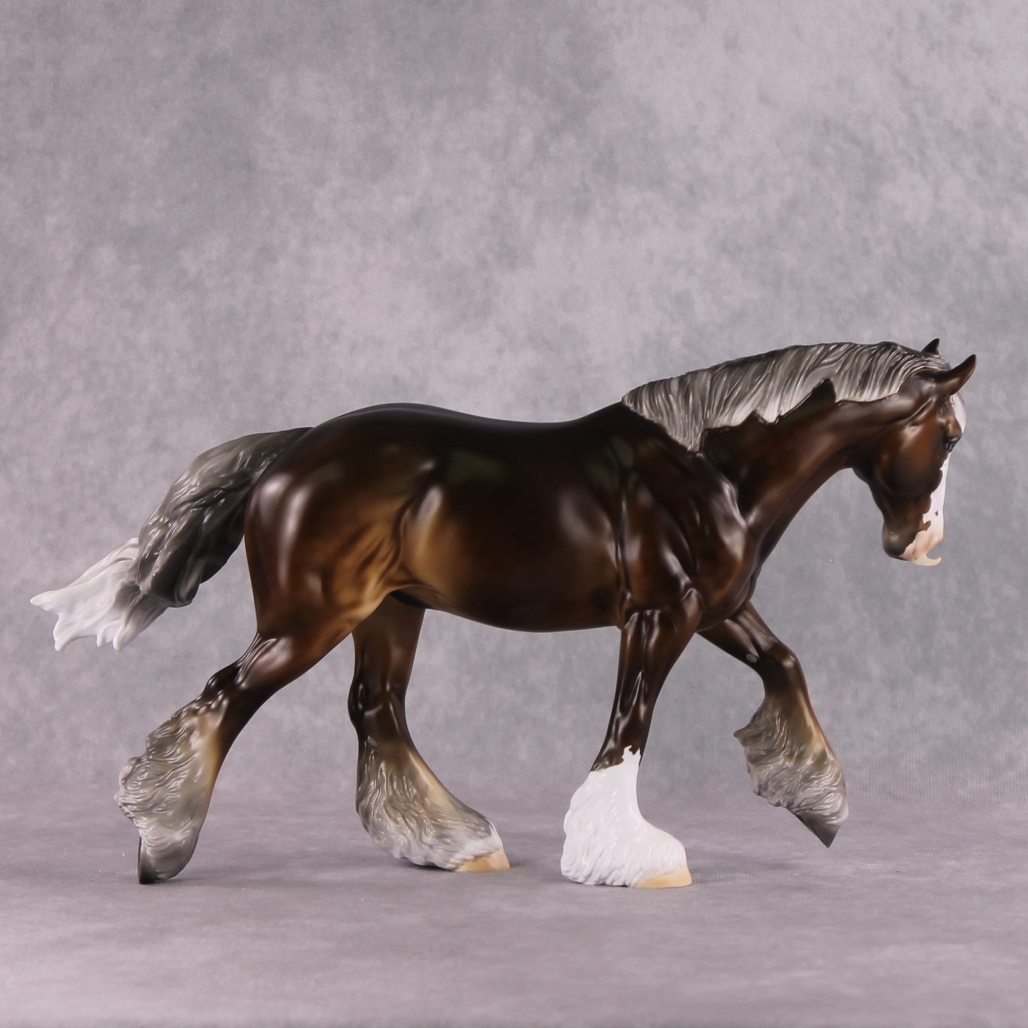 Stone Horses SAMPLE "The Professor" Moonlight Madness 2024 Irish Cob by Ashley Palmer