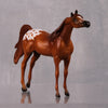 Agile LE-6 Chestnut Appaloosa Arabian Chip By Jamie Adamson $99 Chips Sale October 2024