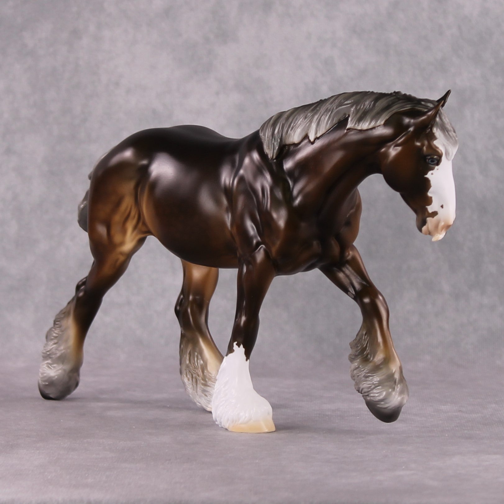 Stone Horses SAMPLE "The Professor" Moonlight Madness 2024 Irish Cob by Ashley Palmer