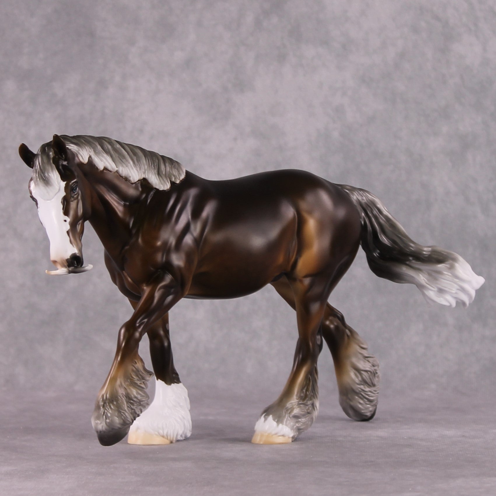 Stone Horses SAMPLE "The Professor" Moonlight Madness 2024 Irish Cob by Ashley Palmer