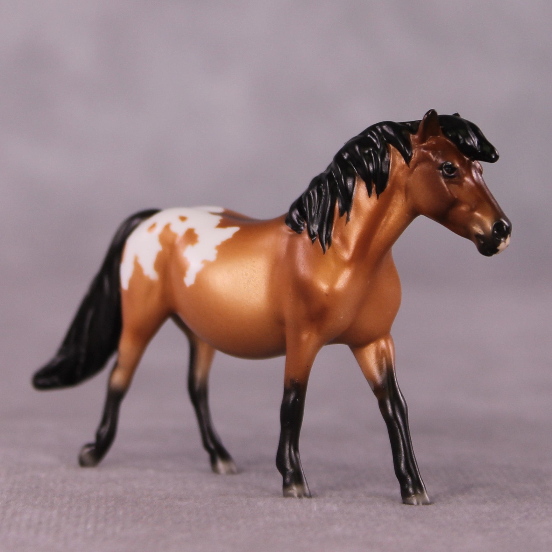 "Crocidura" LE-5 Pony Chip Mare By Ellen Robbins CL25