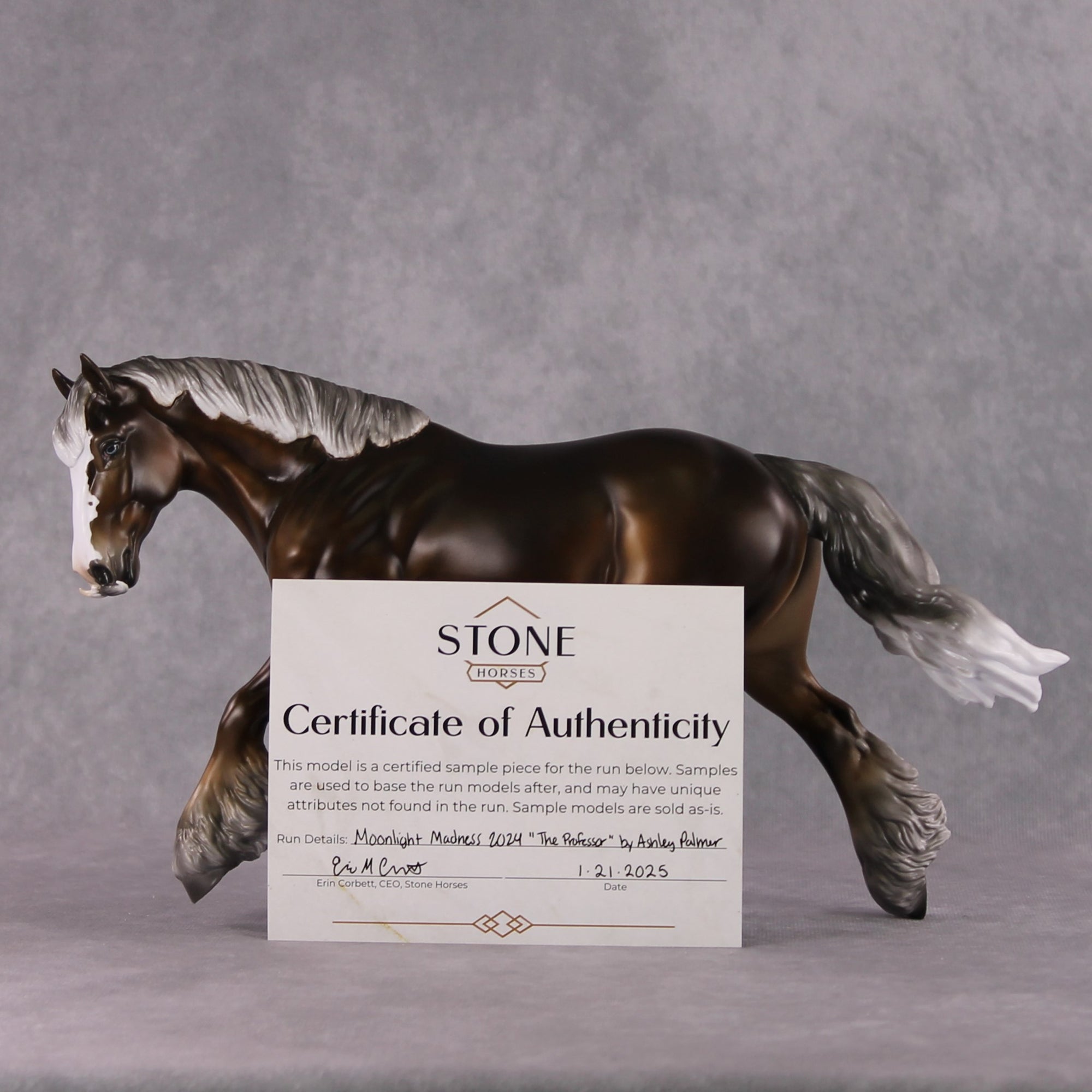 Stone Horses SAMPLE "The Professor" Moonlight Madness 2024 Irish Cob by Ashley Palmer