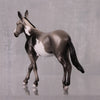 Circle Back LE-6 Grey Pinto Mule By Jamie Adamson $99 Chips Sale October 2024