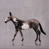 Circle Back LE-6 Grey Pinto Mule By Jamie Adamson $99 Chips Sale October 2024