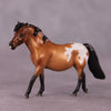 &quot;Crocidura&quot; LE-5 Pony Chip Mare By Ellen Robbins CL25