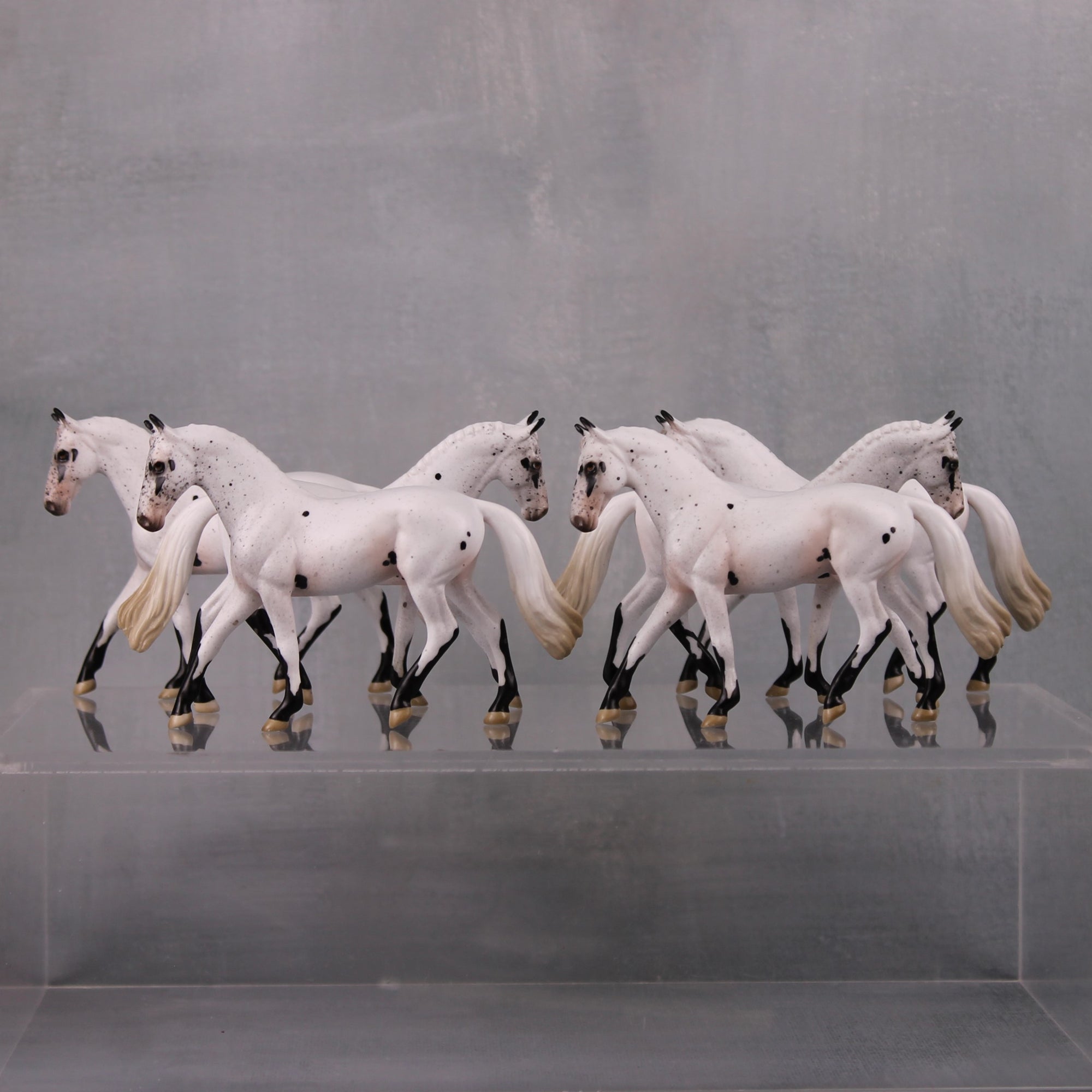 Ping LE-6 Leopard Appaloosa Warmblood Chip By Jess Hamill $99 Chips Sale October 2024