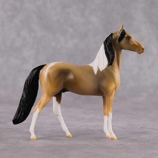 "Chewy" LE-3 Buckskin Tobiano Morgan Chip By Jamie Adamson $99 Chips Sale 02/03/2025