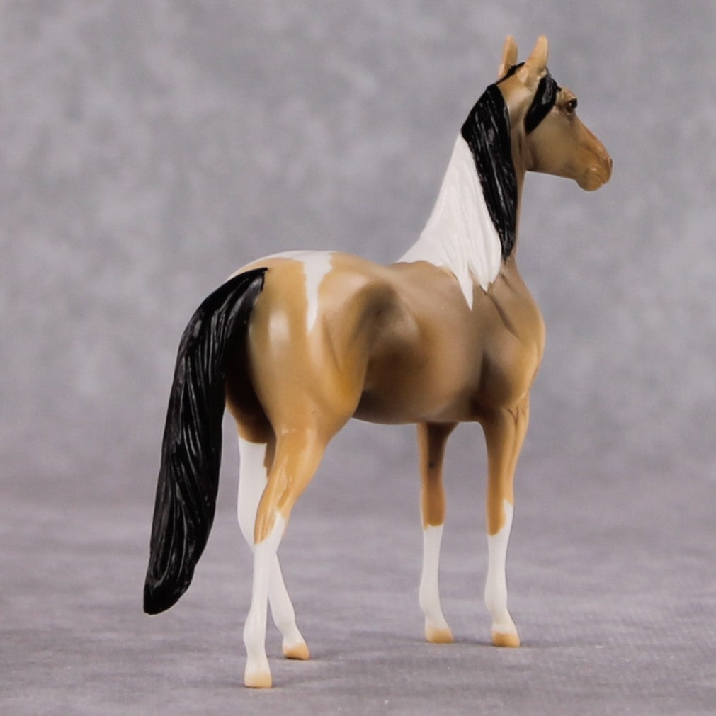 "Chewy" LE-3 Buckskin Tobiano Morgan Chip By Jamie Adamson $99 Chips Sale 02/03/2025
