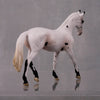 Ping LE-6 Leopard Appaloosa Warmblood Chip By Jess Hamill $99 Chips Sale October 2024