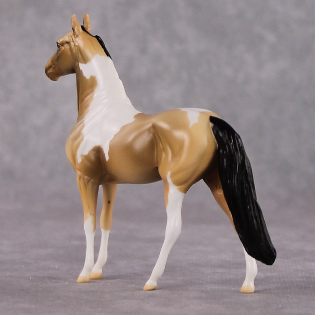 "Chewy" LE-3 Buckskin Tobiano Morgan Chip By Jamie Adamson $99 Chips Sale 02/03/2025