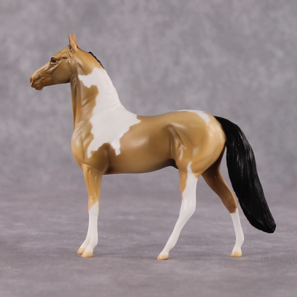 "Chewy" LE-3 Buckskin Tobiano Morgan Chip By Jamie Adamson $99 Chips Sale 02/03/2025