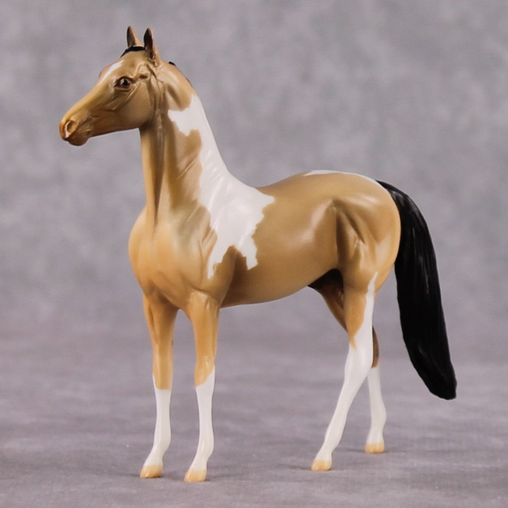 "Chewy" LE-3 Buckskin Tobiano Morgan Chip By Jamie Adamson $99 Chips Sale 02/03/2025