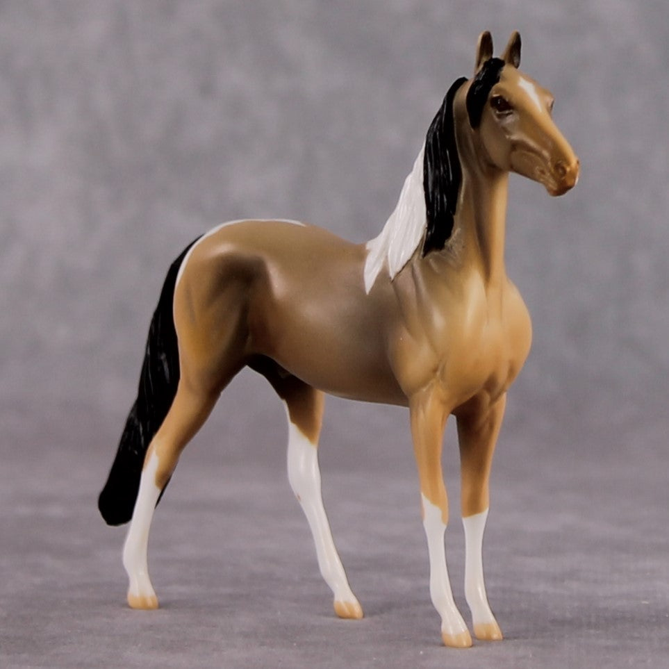 "Chewy" LE-3 Buckskin Tobiano Morgan Chip By Jamie Adamson $99 Chips Sale 02/03/2025