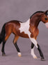 "Greer" OOAK Warmblood Chip by Ellen Robbins EQ25