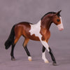 &quot;Greer&quot; OOAK Warmblood Chip by Ellen Robbins EQ25