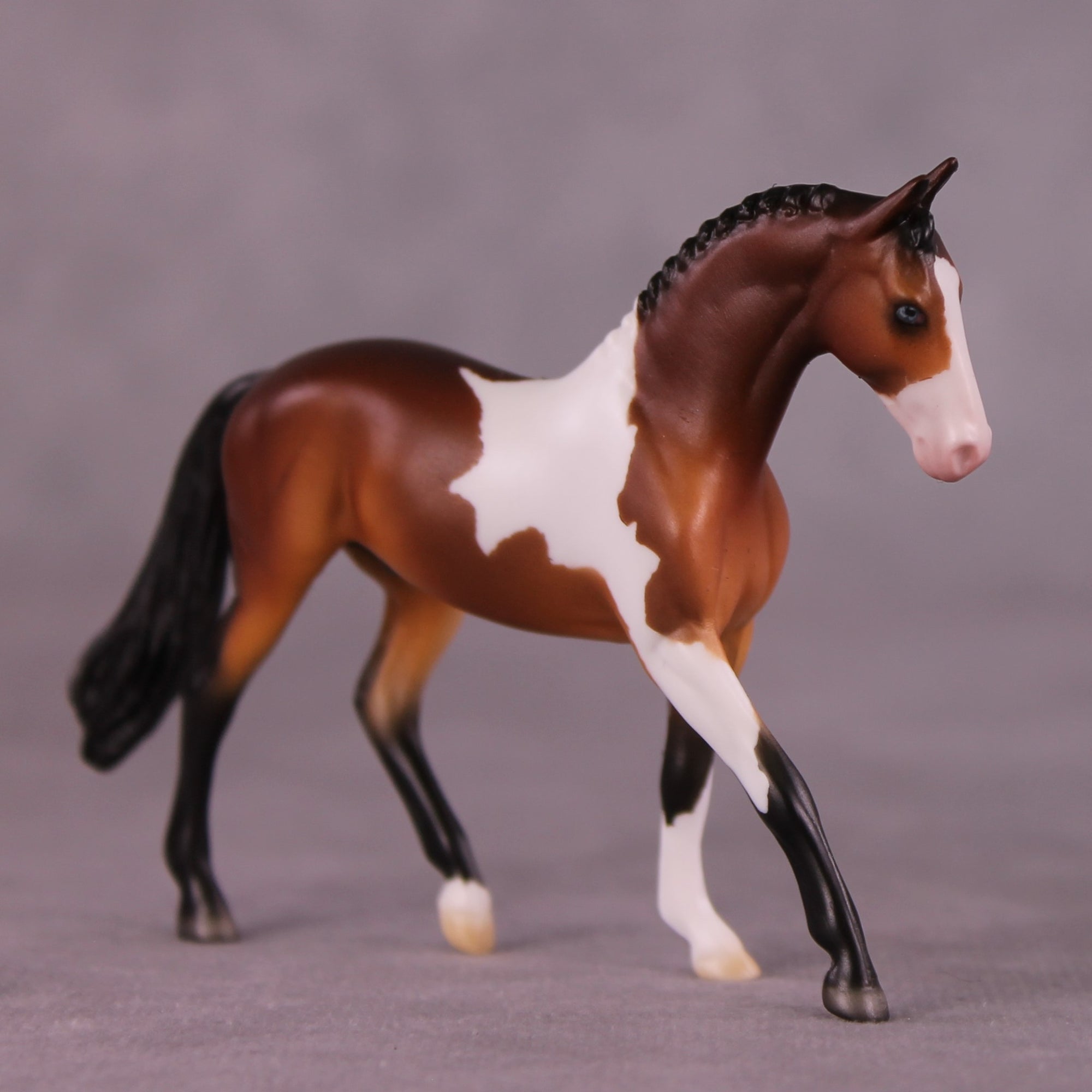 "Greer" OOAK Warmblood Chip by Ellen Robbins EQ25