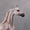 Lindum OOAK Flea Bitten Grey Custom Arabian Stallion By Caroline Boydston - Best Offer 10/8/24