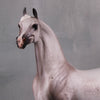 Lindum OOAK Flea Bitten Grey Custom Arabian Stallion By Caroline Boydston - Best Offer 10/8/24