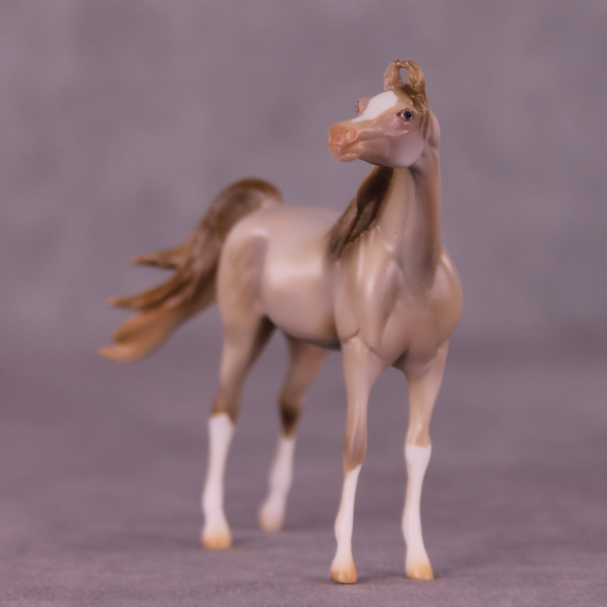 Silver Maple OOAK FCM Chip Arabian by Mindy Berg Best Offers LHS25 09/09/2025