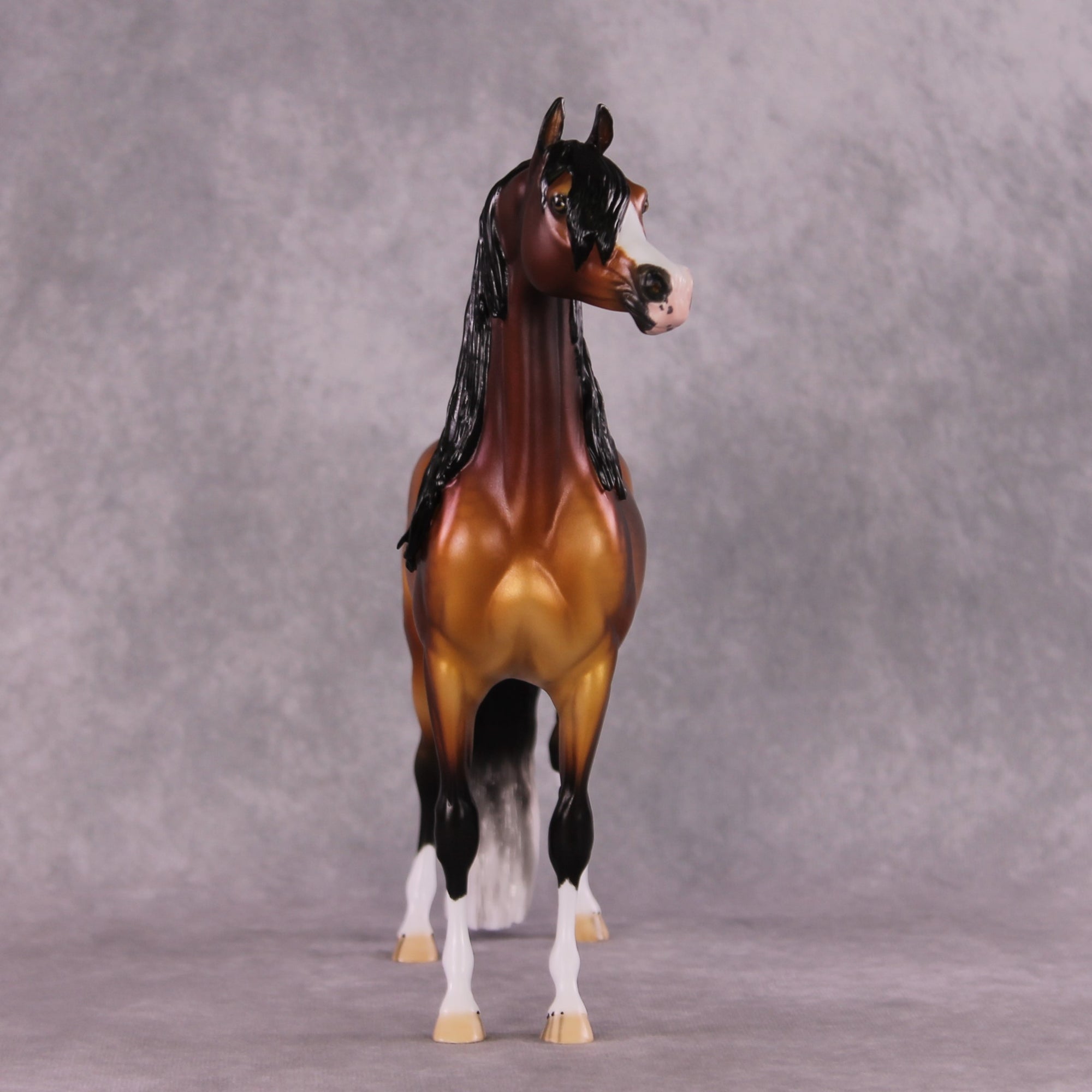 &quot;Blaise&quot; OOAK EFCM Arabian By Ellen Robbins SHCF25 Best Offer 5/27/25