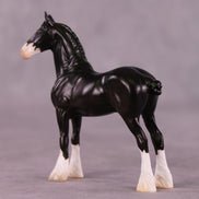 Art of the Horse Elemental Chips Set LE-10 Chip Sets by Anna Rieck EQ25