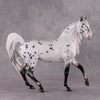 &quot;Pepper&quot; SAMPLE Leopard Appaloosa Custom Arab Mare By Ellen Robbins