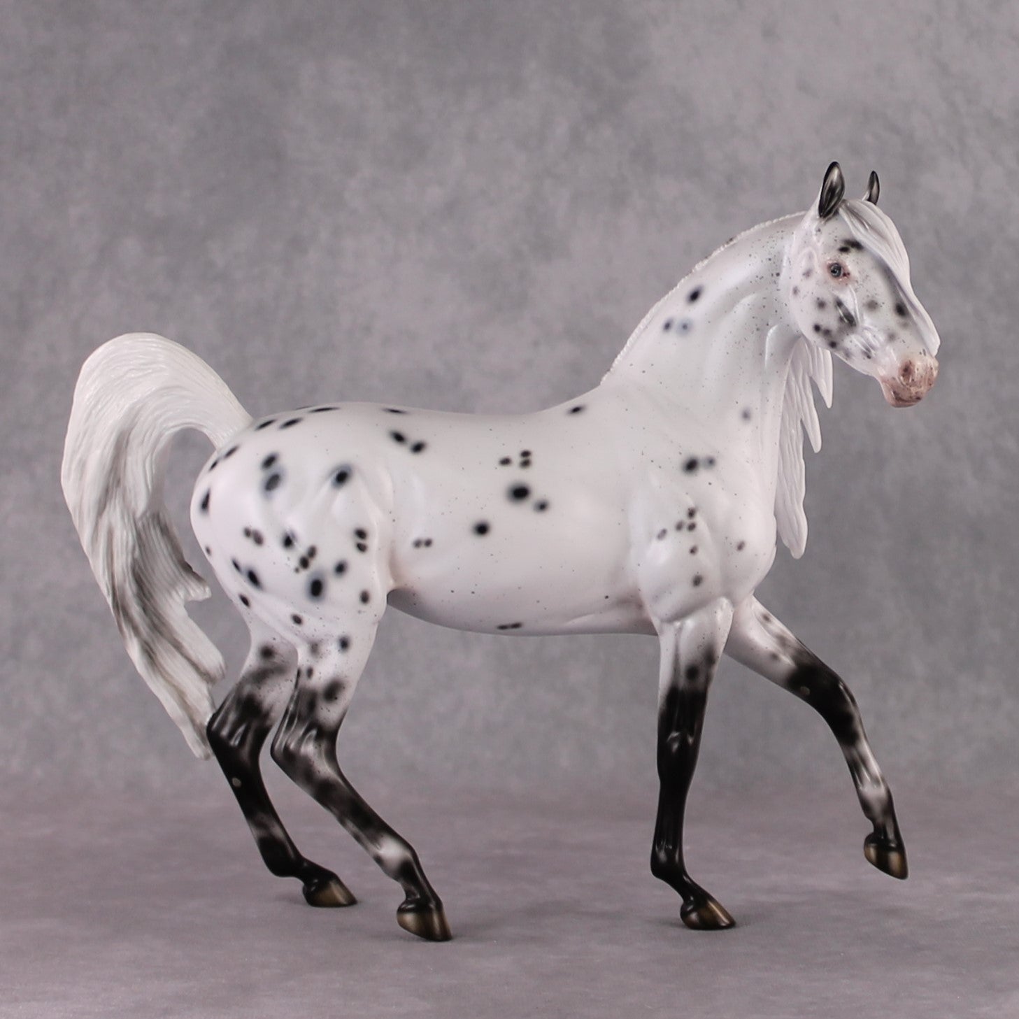 "Pepper" SAMPLE Leopard Appaloosa Custom Arab Mare By Ellen Robbins